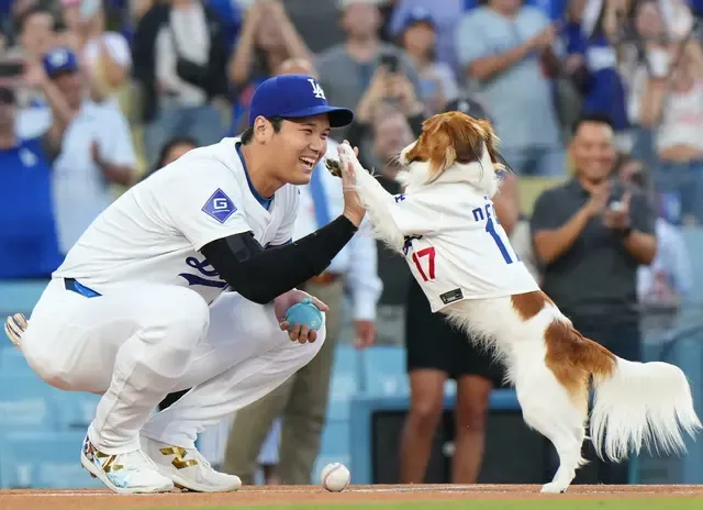 大谷翔平の愛犬デコピン、三塁ベースで写真に！ドジャース専属カメラマンがユーモラスな投稿