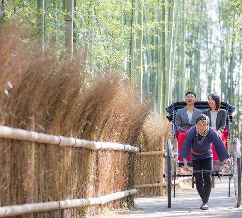 Arashiyama Bamboo Forest Complete Guide to Kyoto's Natural Wonder