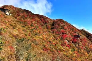 スニーカーで红葉を楽しむ！長崎・妙見岳【絶景ハイキング｜10月下旬～11月中旬】