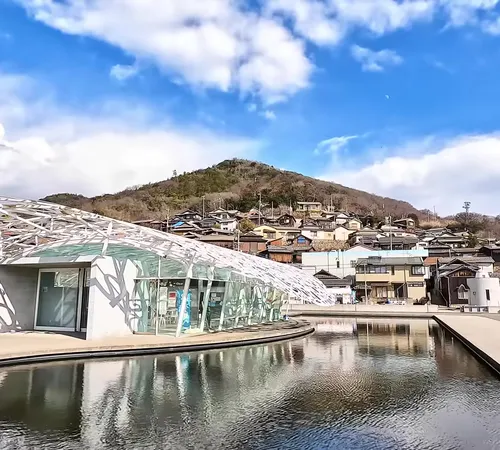 Exploring the Cat Island of Ogijima: A Journey to the Feline Wonderland Amidst the Seto Inland Sea