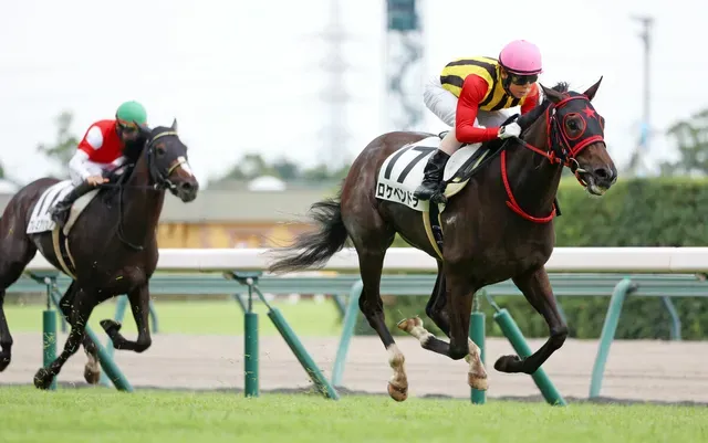 ロケベンドラ、圧勝でデビュー！新星誕生の瞬間を競馬ファンが熱視線