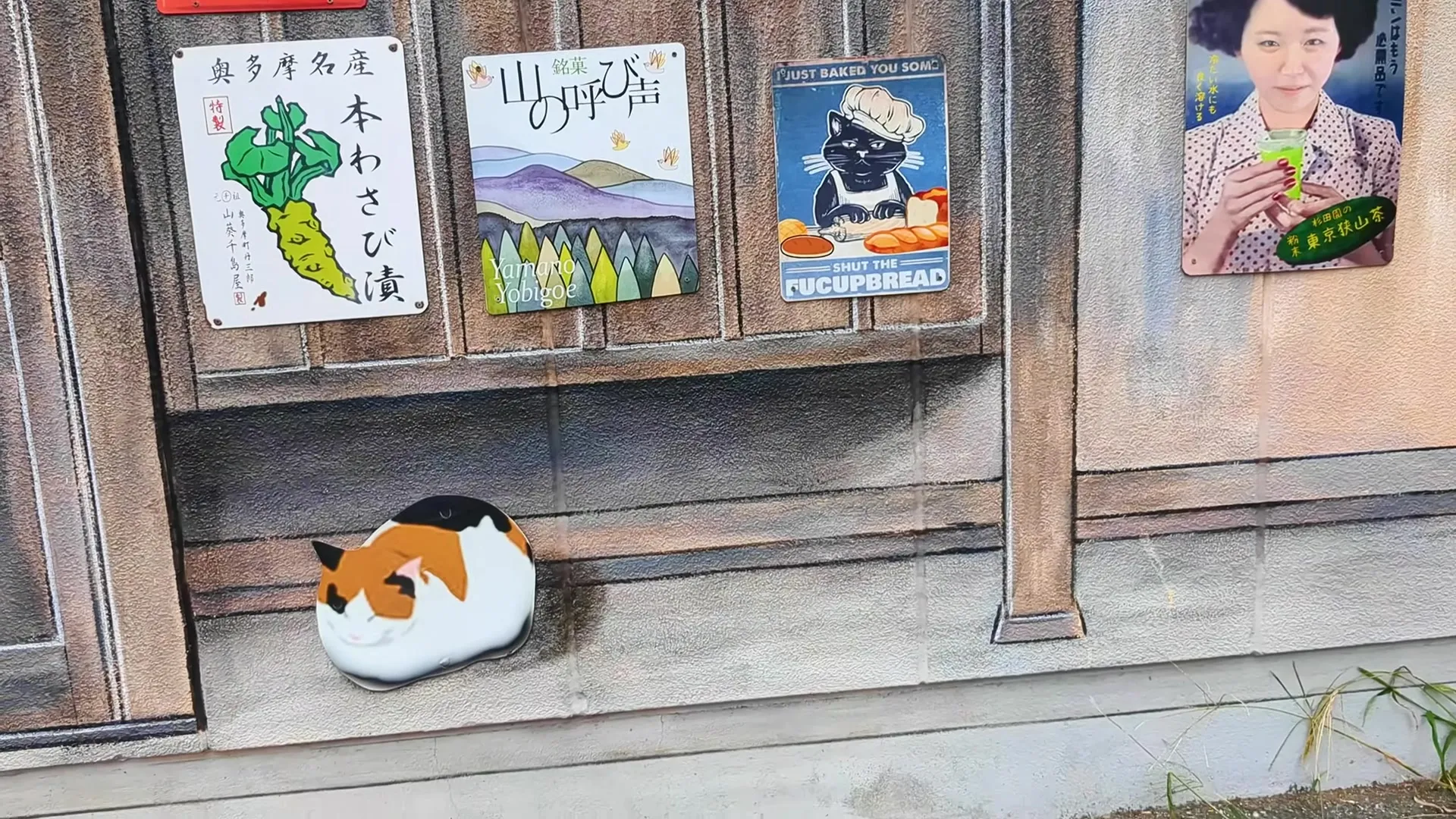 A Feline-Filled Adventure: Exploring the Enchanting Town of Ome, Tokyo