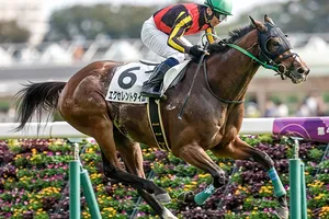 「平場の東京芝2500m」を含むJRAのレアな競馬距離を深掘り！