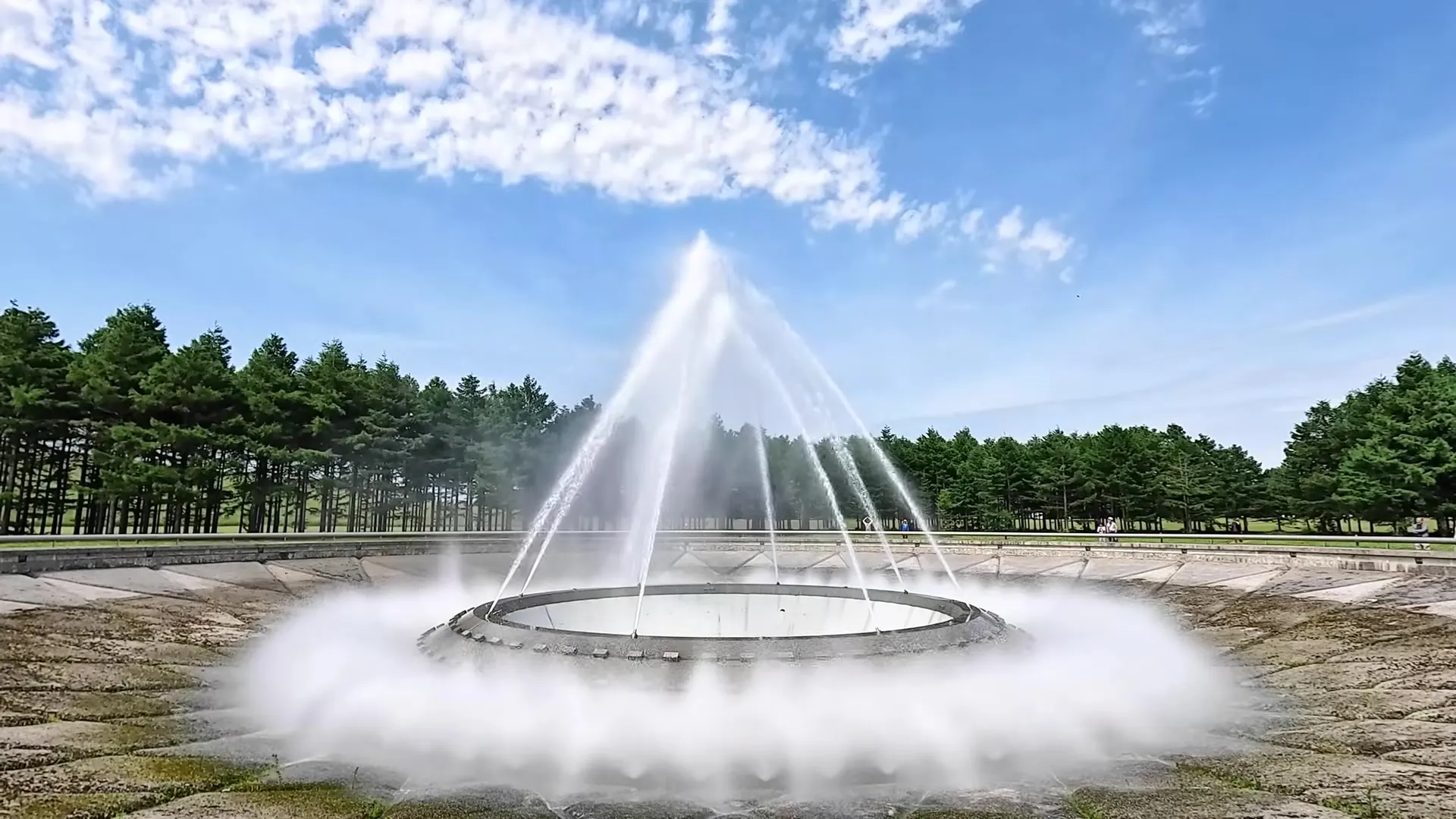 A Water Spray Show: Nature's Choreographed Dance