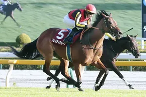 東京競馬場、5万7500人の来場者で大盛況　3連休最終日無料入場イベント大成功