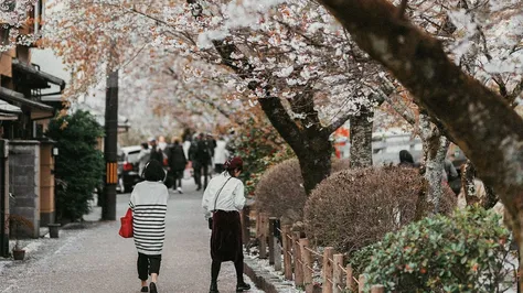 The Best Hotel A Kyoto Comprehensive Guide to Staying in Japan’s Cultural Heart