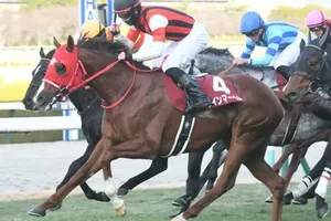 スプリンターズS: 中山競馬場の馬場状況と有力馬の戦略分析