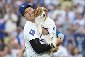 大谷翔平の愛犬デコピン、MLB公式に登場！ファン歓喜の「クールで賢すぎる」一瞬