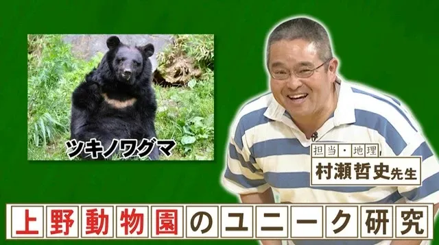 冬眠再現！上野動物園のツキノワグマとナシゴレンの秘密