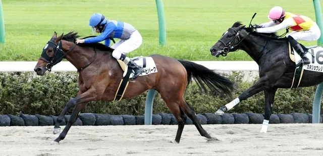 ハッピービバーグ、デビュー戦で圧勝！横山和生騎手400勝達成