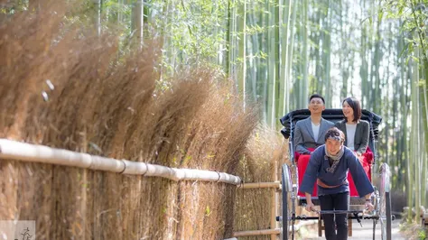 Arashiyama Bamboo Forest Complete Guide to Kyoto's Natural Wonder