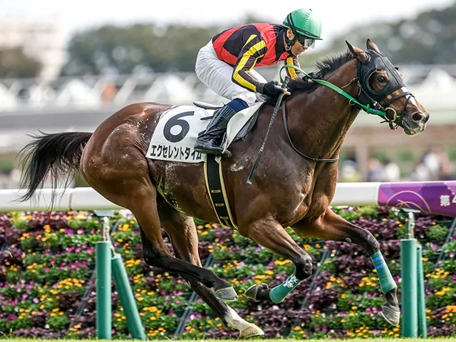 「平場の東京芝2500m」を含むJRAのレアな競馬距離を深掘り！