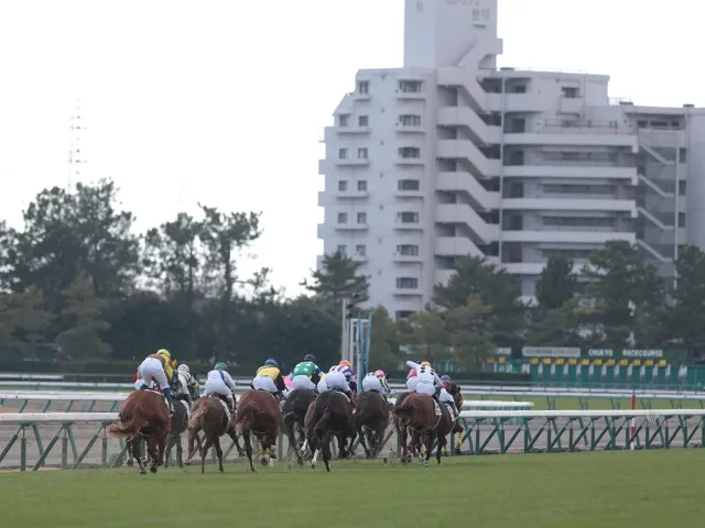 中京競馬場新馬戦、アートコレクションが快勝！角田大和騎手と角田晃一厩舎のコンビが注目