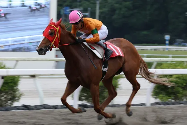 高知競馬場のミラク特別でグレートヒエンが圧勝、岡村卓弥騎手の手腕が光る