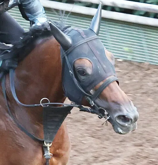 ハギノアレグリアス、シリウスSで見事連覇！重賞3勝目を飾る強さと安定性