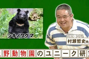 冬眠再現！上野動物園のツキノワグマとナシゴレンの秘密