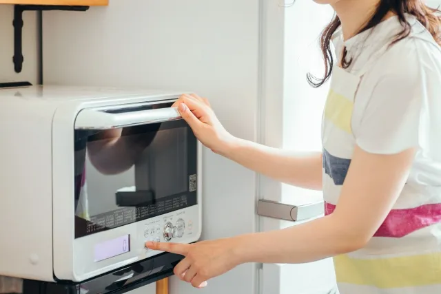 Japanese Electrical Appliances: A Fusion of Technology and Culture