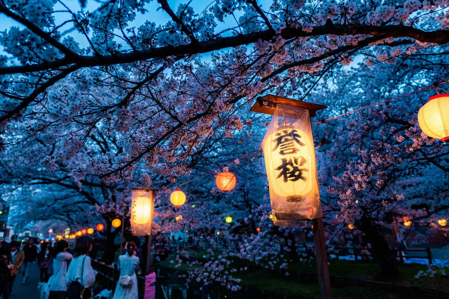 Exploring the Kawagoe Festival: An Intimate Look at Japanese Festival Culture