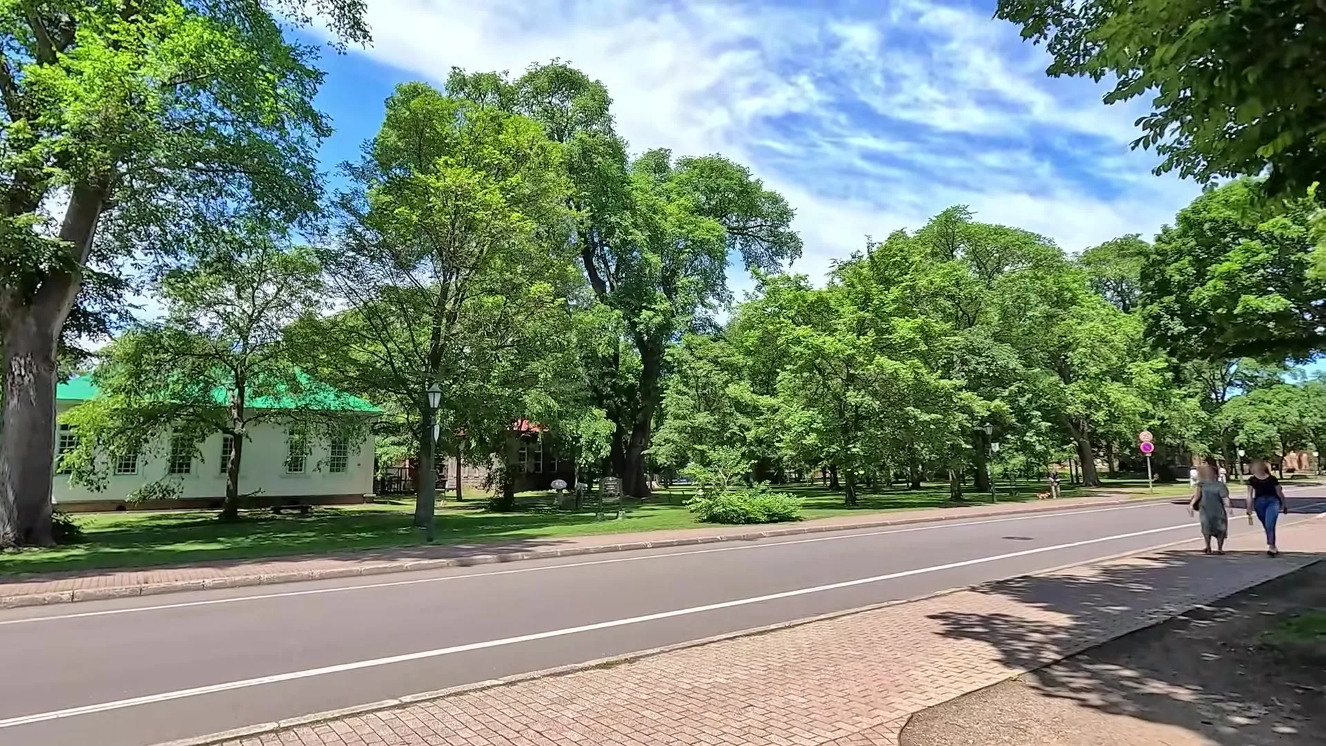 The Vastness of Hokkaido University