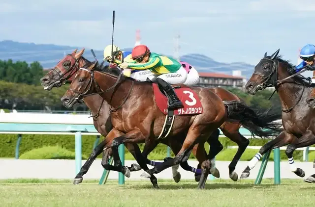 【馬券予想】香港ヴァーズを目指すサトノグランツとその他の注目馬の動向