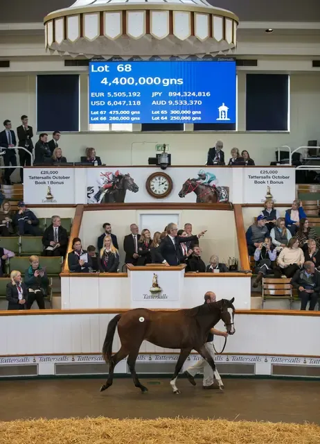 フランケル産駒牝馬、欧州2位の高額8.9億円で落札！中内田充正調教師も参加、タタソールズ1歳セリ