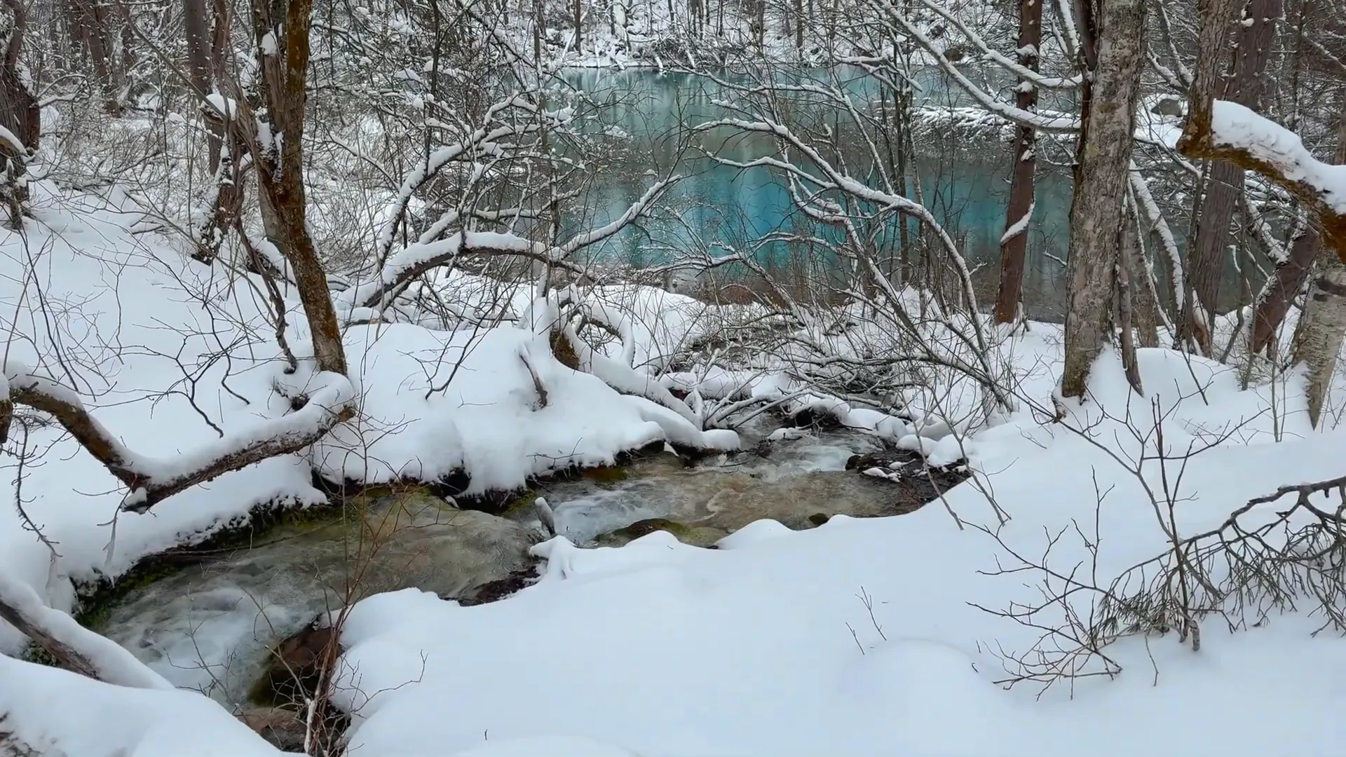 An Enchanting Winter Journey: From Tokyo to Urabandai Plateau and the Majestic Bandaizan