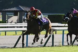 【JRA・WIN5】10月13日のWIN5結果：的中384票、配当108万6510円