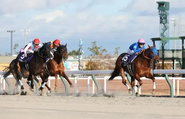 レモンポップ、再び南部杯へ！連覇なるか、注目馬も続々参戦