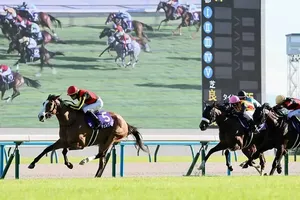 G1秋華賞、世代最強牝馬チェルヴィニアが優しい瞬間「草を食べながら少女と交流」