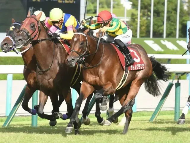 サトノグランツ、京都大賞典でGI初勝利を目指す！