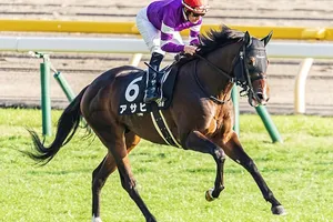 新幹線列車名と競馬馬名の意外な繋がり：新幹線60周年を記念して