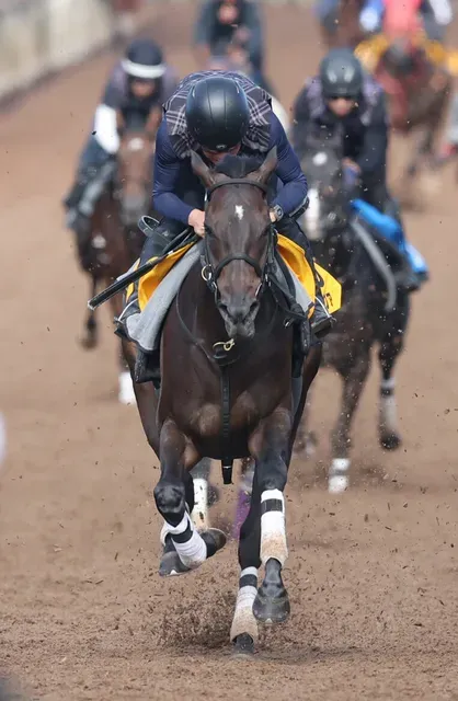 【府中牝馬Ｓ】マスクトディーヴァとブレイディヴェーグの枠順決定　重賞3勝目と復帰戦の行方は？