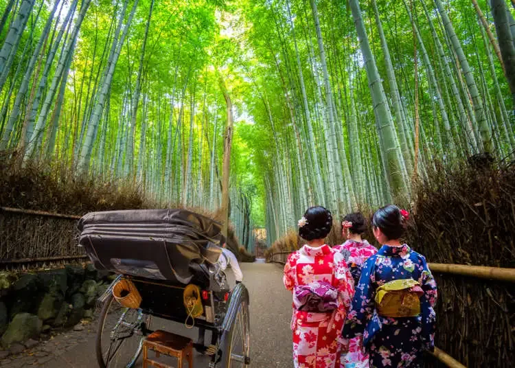 A Stroll Through Arashiyama Bamboo Grove