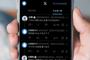 X（Twitter）のウェブ版活用術：ブラウザからのアクセス方法と便利な機能