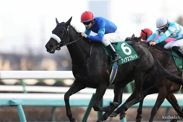 【府中牝馬S】フィアスプライド、東京での再始動！前回4着から更なる飛躍を