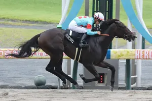 アメリカンビキニ、連勝でヤマボウシ賞制覇！未来の競馬界を背負う逸材の誕生