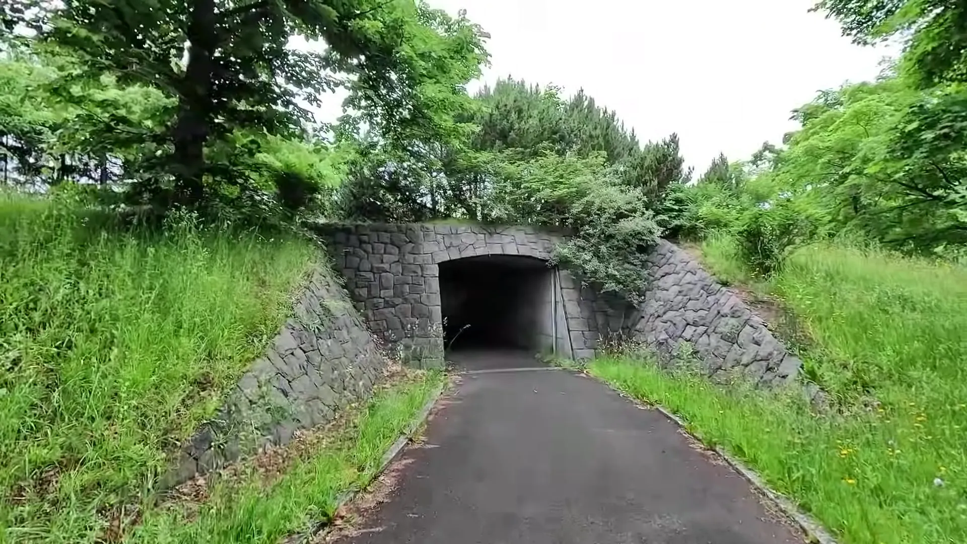 Rainy Hokkaido: A Mélange of Weather