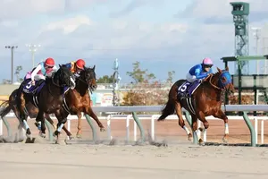 レモンポップ、再び南部杯へ！連覇なるか、注目馬も続々参戦