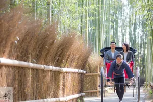 Arashiyama Bamboo Forest Complete Guide to Kyoto's Natural Wonder