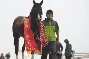 【強烈な走りで注目！】アルテヴェローチェ、朝日杯FSへの出走が決定！