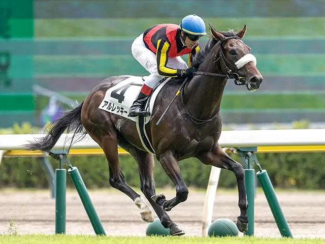 第10回サウジアラビアロイヤルカップ：若手馬の実力が問われる舞台