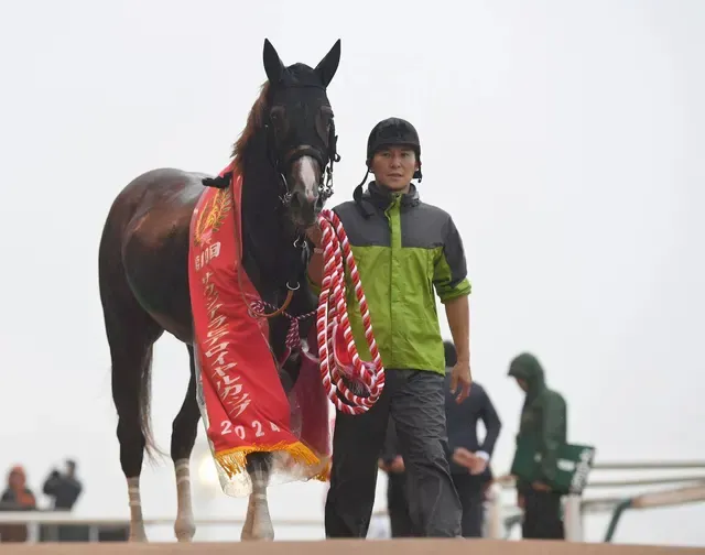 【強烈な走りで注目！】アルテヴェローチェ、朝日杯FSへの出走が決定！