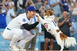 大谷翔平の愛犬デコピン、三塁ベースで写真に！ドジャース専属カメラマンがユーモラスな投稿