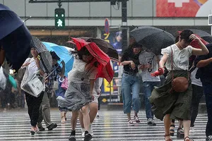 Navigating Typhoons How Japan’s Advanced Disaster Management Systems Protect Lives