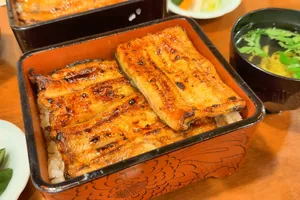 A Captivating Journey to Ito City: Eel Rice, Tokaikan, and the Wonders of Izu