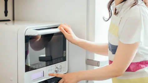 Japanese Electrical Appliances: A Fusion of Technology and Culture