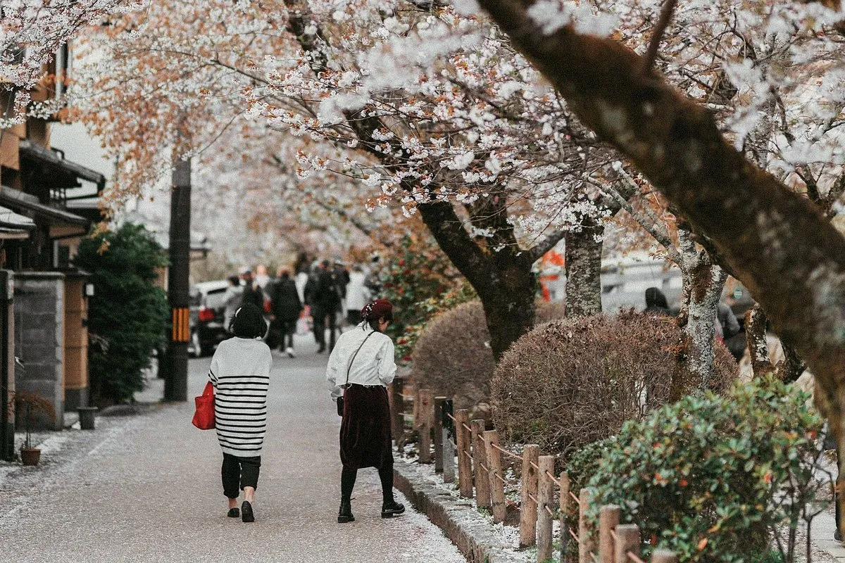 The Best Hotel A Kyoto Comprehensive Guide to Staying in Japan’s Cultural Heart