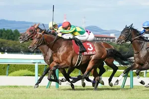 【馬券予想】香港ヴァーズを目指すサトノグランツとその他の注目馬の動向