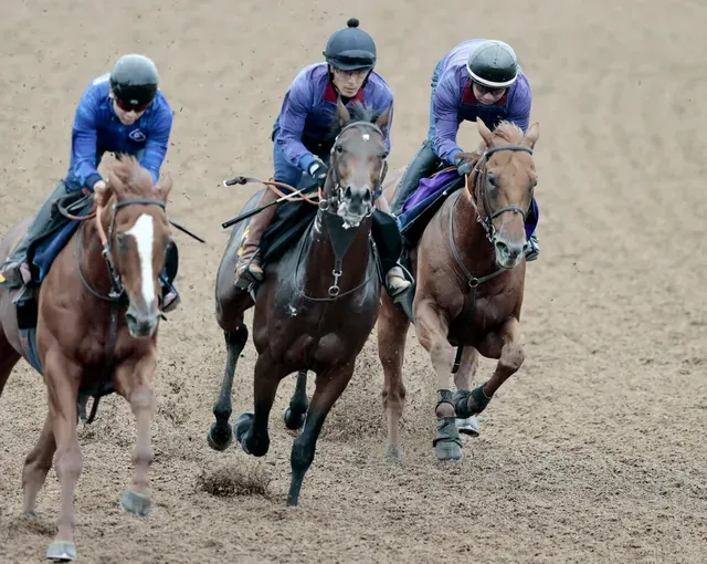 【競馬】デンクマール、デビュー戦に備え好調！田中博調教師の評価と母の遺伝子が注目