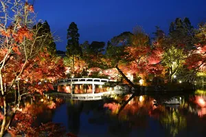 京都の紅葉スポットが「アート紅葉ランキング」で大活躍、永観堂が堂々1位に